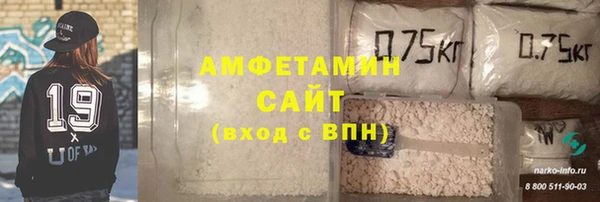 амф Горняк