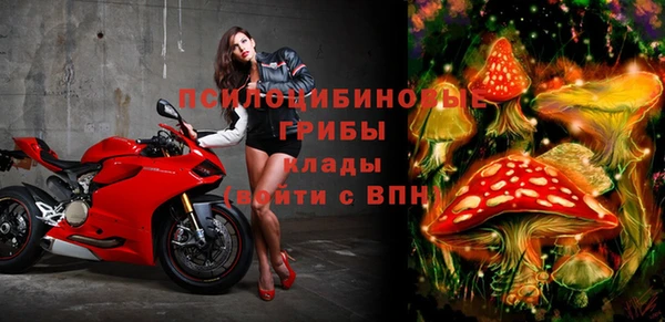 амф Горняк