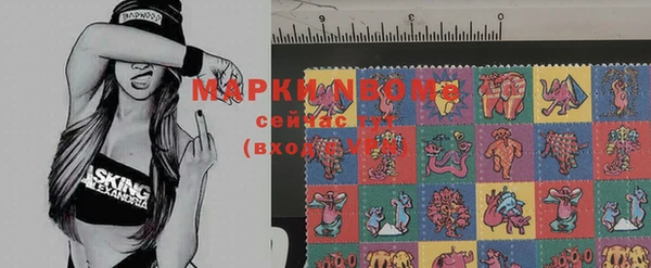 амф Горняк