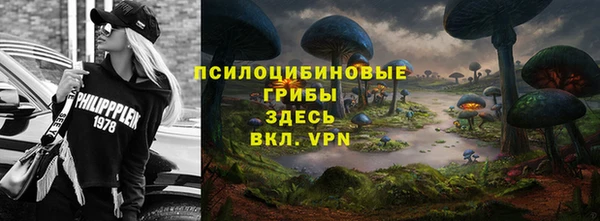мдпв Горнозаводск