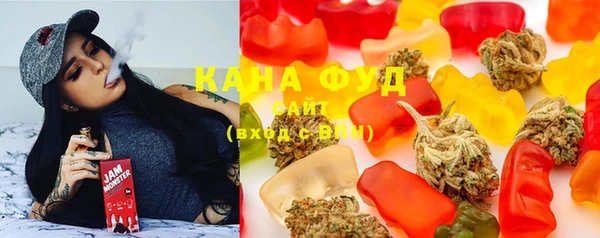 мдпв Горнозаводск