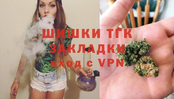 мдпв Горнозаводск